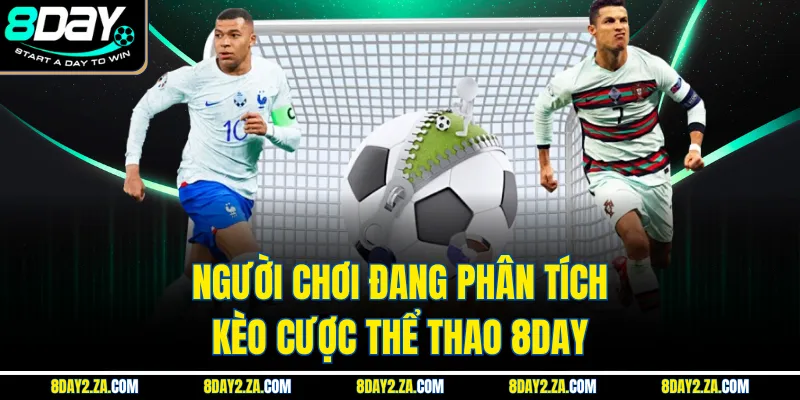 Người chơi đang phân tích kèo cược thể thao 8day