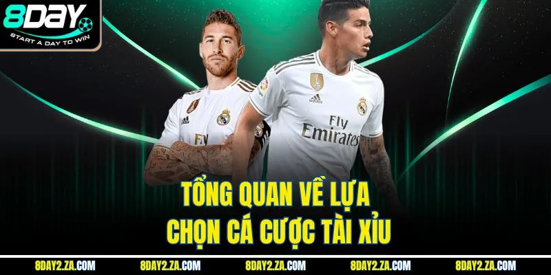 Tổng quan về lựa chọn cá cược tài xỉu